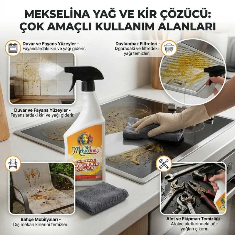 3.webp